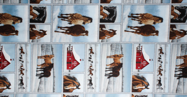 Designerbaumwollstoff Horse Whisperer Rapport